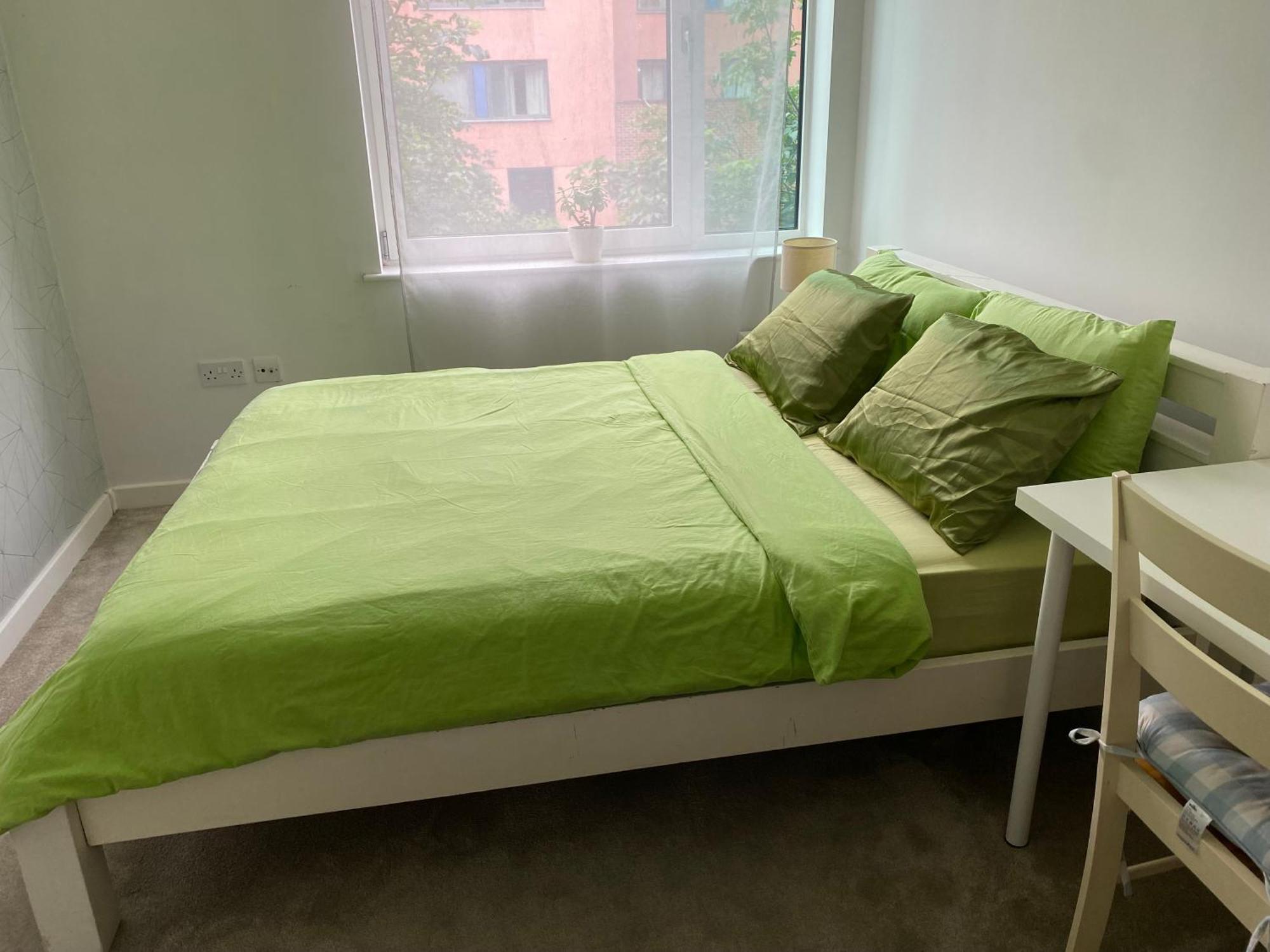 6 Hardy House Homestay